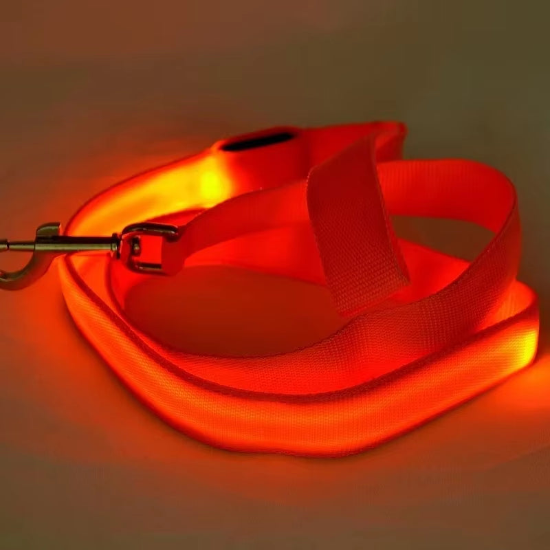 Led Hund Leine Seil Mit Licht Leuchtende Blei Leine Für Hund Sicherheit Blinkende Leuchtende Kragen Harness Zubehör Honden Lichtband