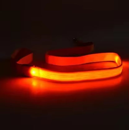 Led Hund Leine Seil Mit Licht Leuchtende Blei Leine Für Hund Sicherheit Blinkende Leuchtende Kragen Harness Zubehör Honden Lichtband