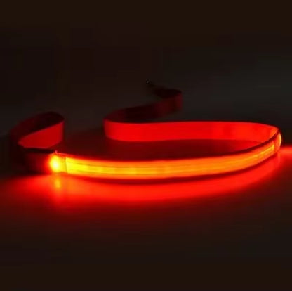 Led Hund Leine Seil Mit Licht Leuchtende Blei Leine Für Hund Sicherheit Blinkende Leuchtende Kragen Harness Zubehör Honden Lichtband
